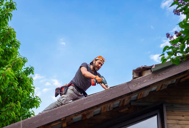 Fast & Reliable Emergency Roof Repairs in Alice, TX