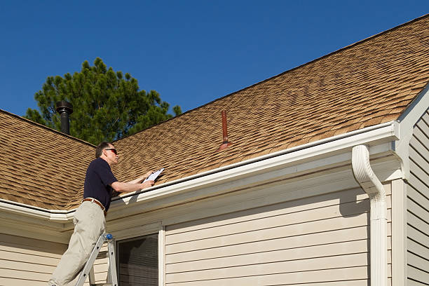 Best Roof Moss and Algae Removal  in Alice, TX